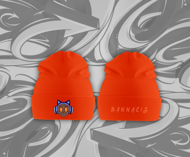 orange cat ears headphones Bannacis beanie